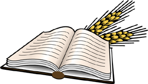 libro-e-spiga